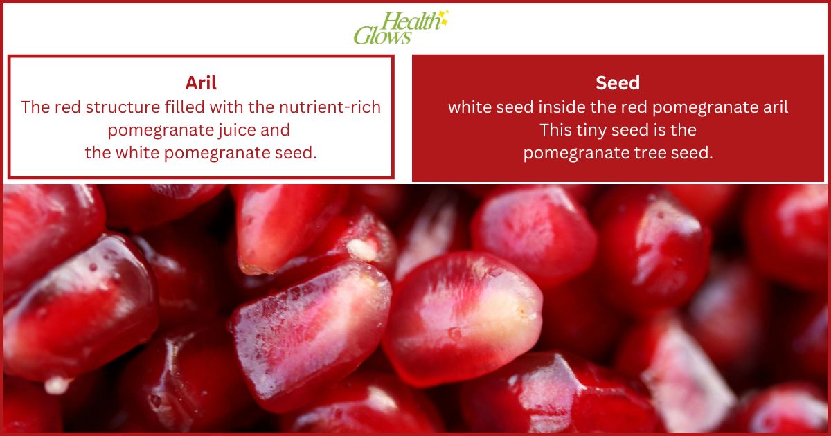 Pomegranate arils next to the explanation of what is the difference between pomegranate arils and pomegranate seeds.